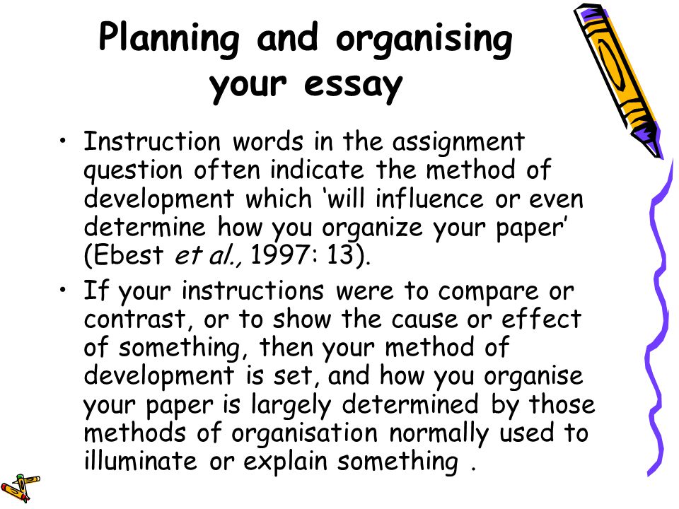 Essay instruction words